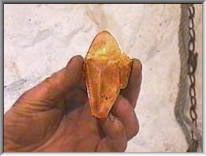 Calcite crystal