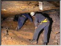 A tight crawl