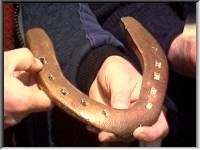 Copper horseshoe