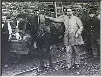 Horse level