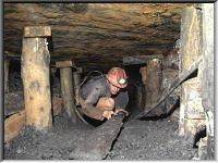 Timbers in the coal