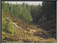 Roman Gravels open cut