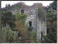 Tigroney engine house