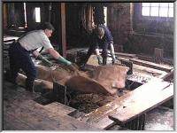 Putting hides in layer pits