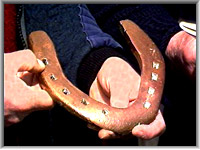Copper horseshoe