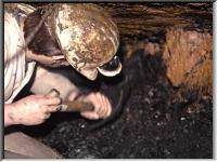 Digging the coal