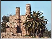 Engine houses & palm tree